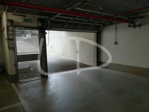 Box Cave Howald 06.jpg